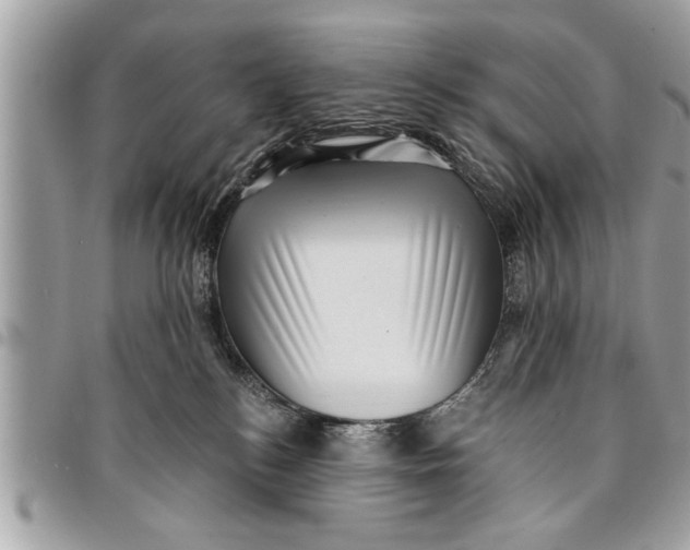 X0000094420184200711291558