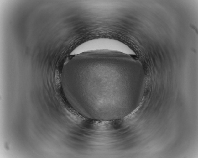 X0000094420186200711291558