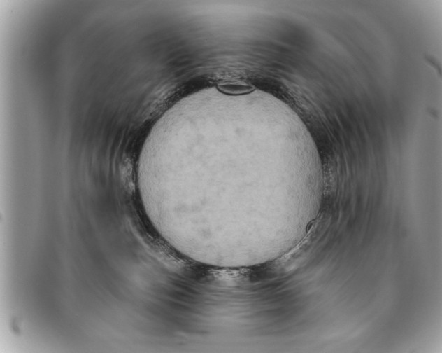 X0000094420187200711291558