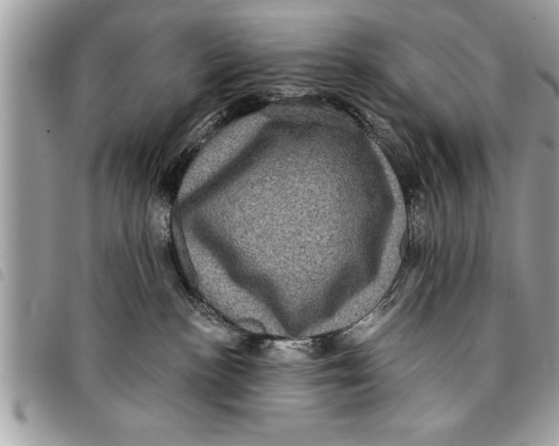 X0000094420188200711291558