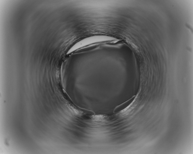 X0000094420192200711291558