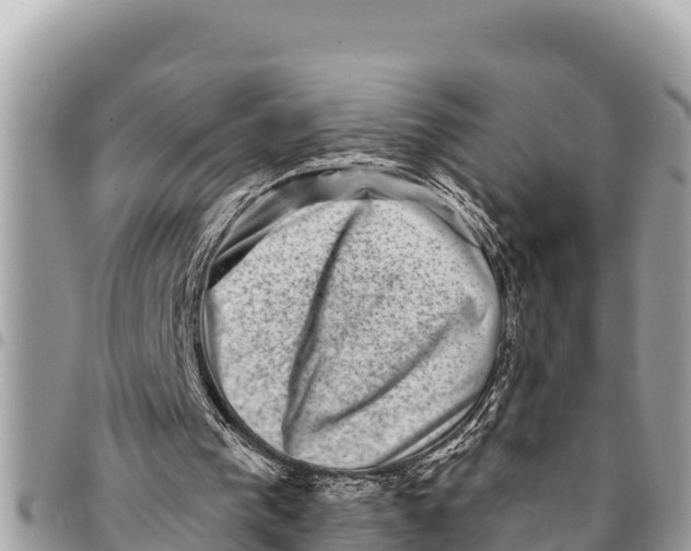 X0000094420193200711291558