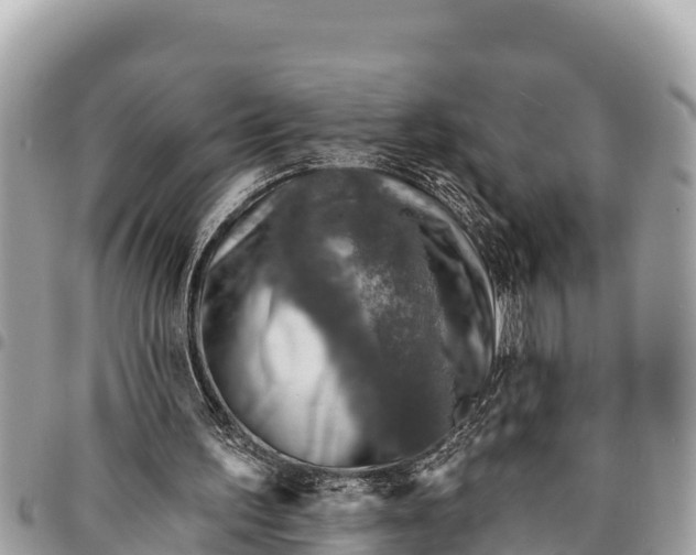 X0000094420195200711291558