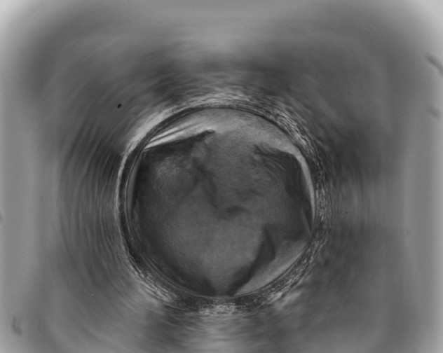 X0000094420196200711291558