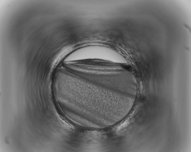 X0000094420197200711291558