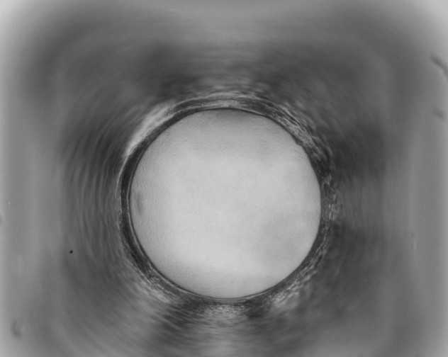 X0000094420198200711291558