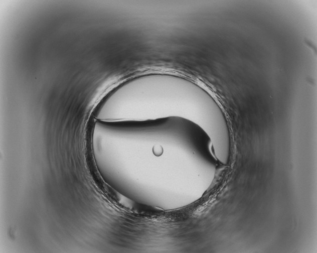 X0000094420199200711291558