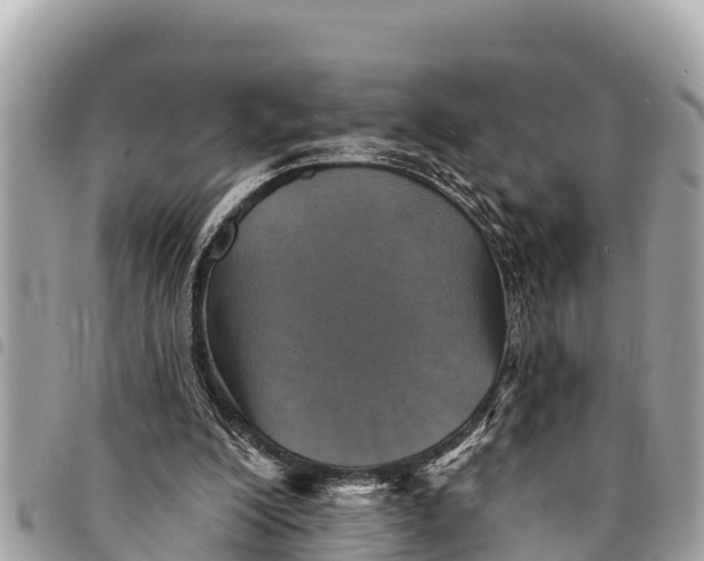 X0000094420200200711291558