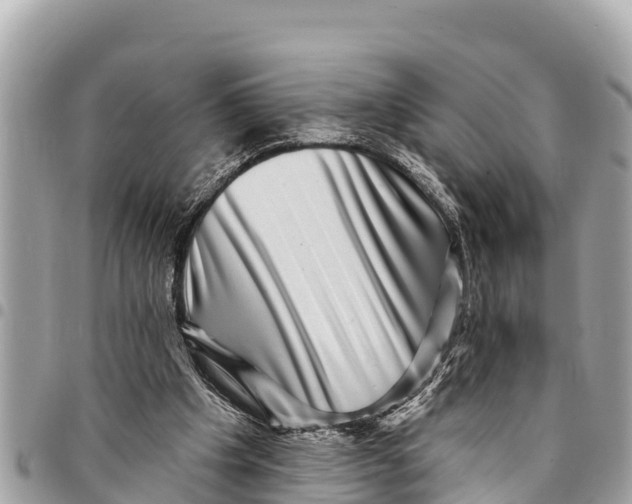 X0000094420201200711291558