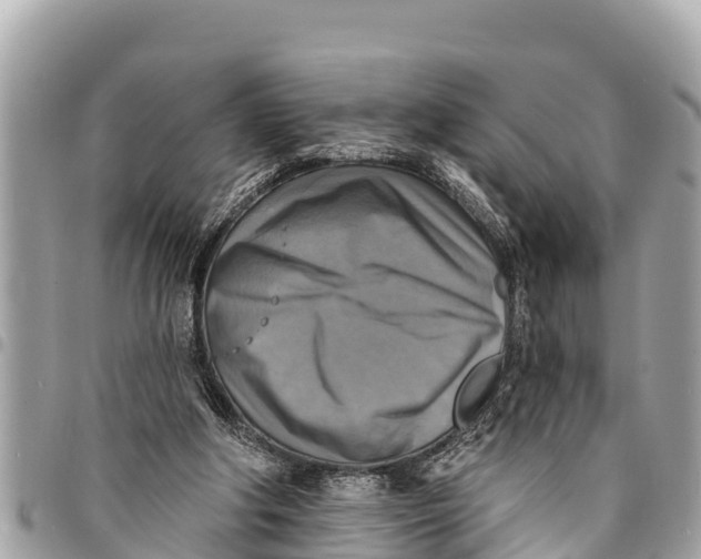 X0000094420202200711291558