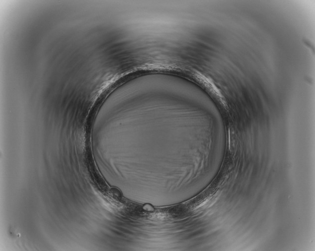 X0000094420204200711291557