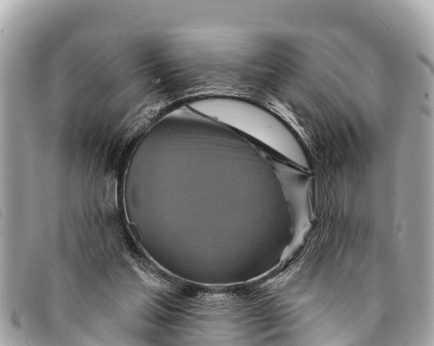 X0000094420205200711291557