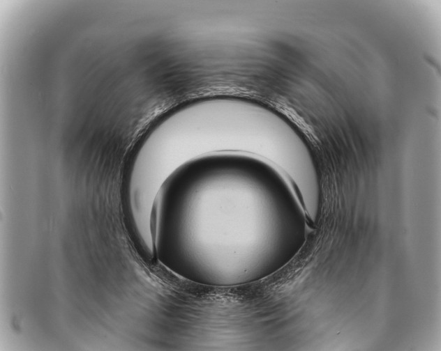 X0000094420207200711291557