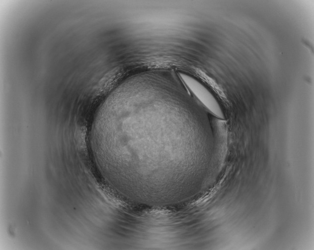 X0000094420209200711291557