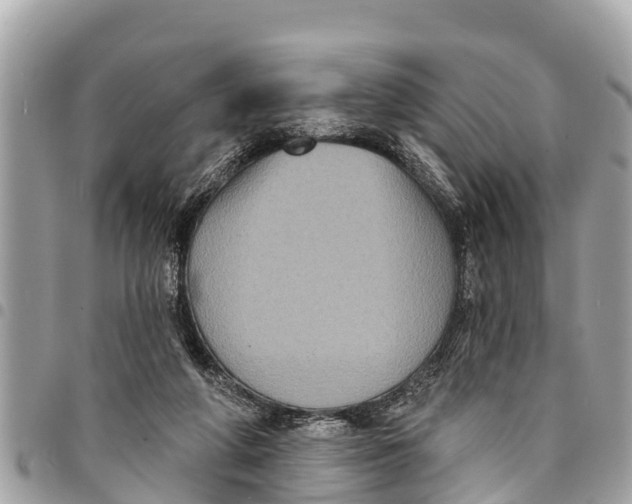 X0000094420210200711291557