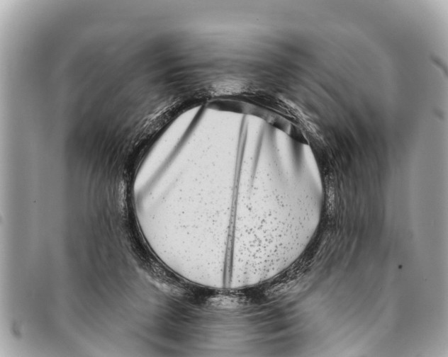 X0000094420211200711291557