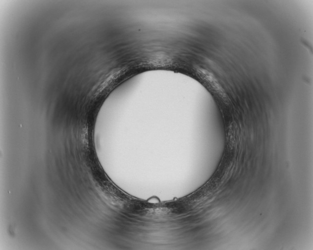 X0000094420212200711291557