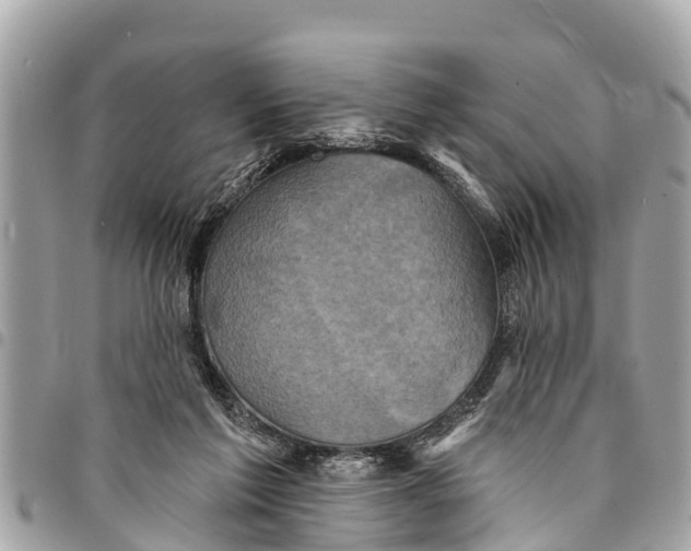 X0000094420213200711291557