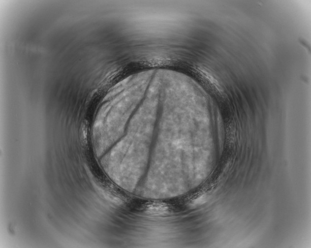 X0000094420214200711291557