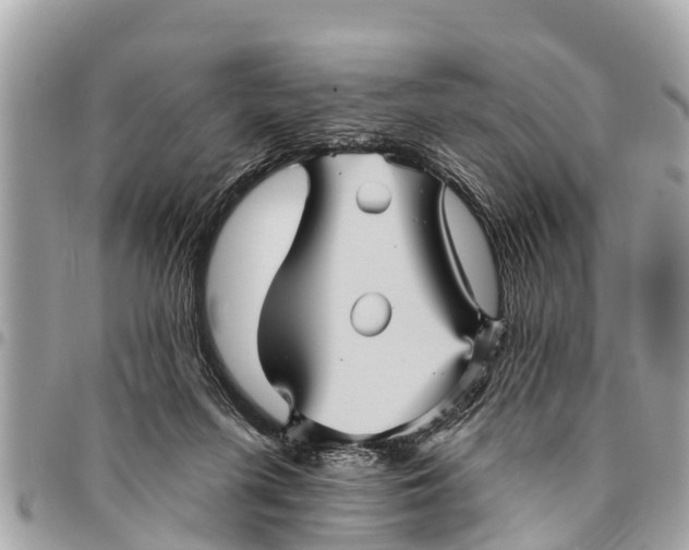 X0000094420215200711291557