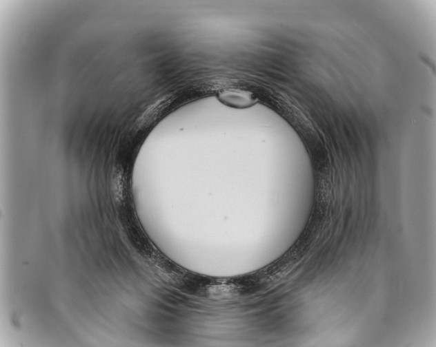 X0000094420216200711291557