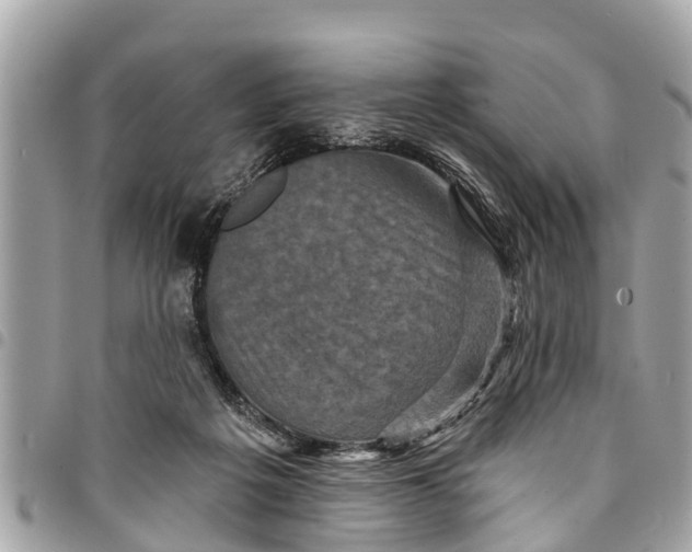 X0000094420217200711291557