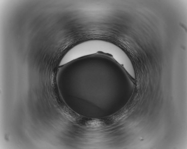 X0000094420219200711291557