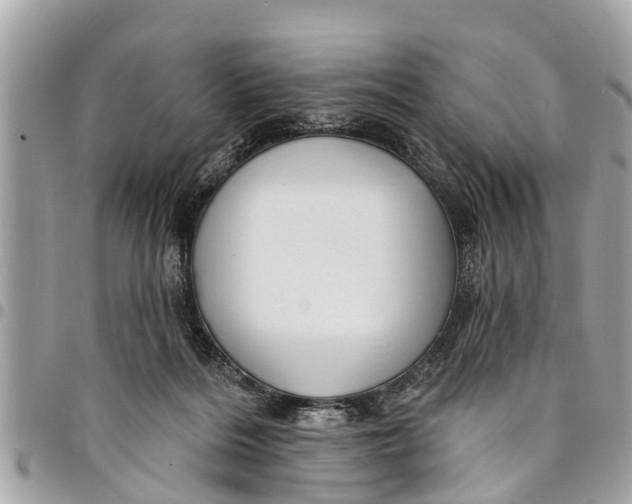 X0000094420220200711291557