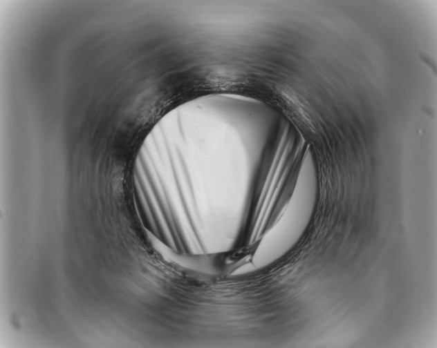 X0000094420221200711291557