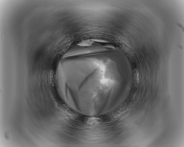 X0000094420222200711291557