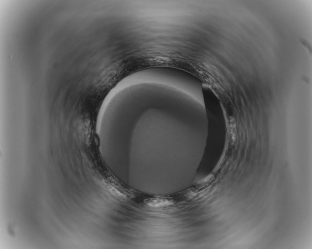 X0000094420223200711291557