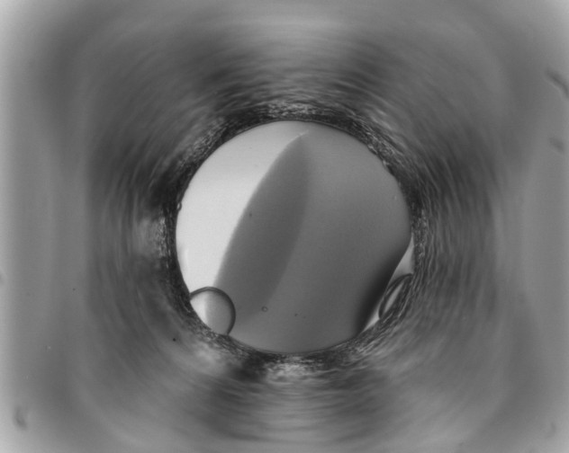 X0000094420224200711291557