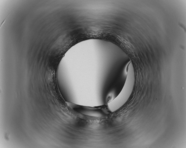 X0000094420225200711291557