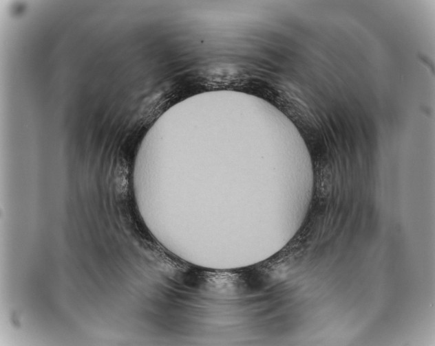 X0000094420226200711291557