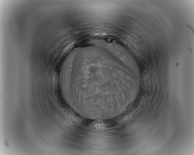 X0000094420228200711291557