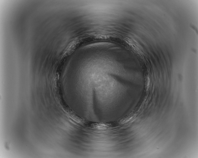 X0000094420229200711291557