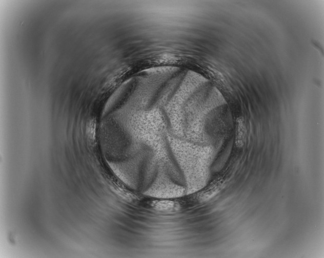 X0000094420230200711291557