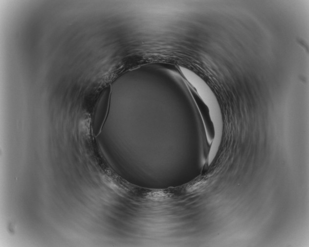 X0000094420231200711291557