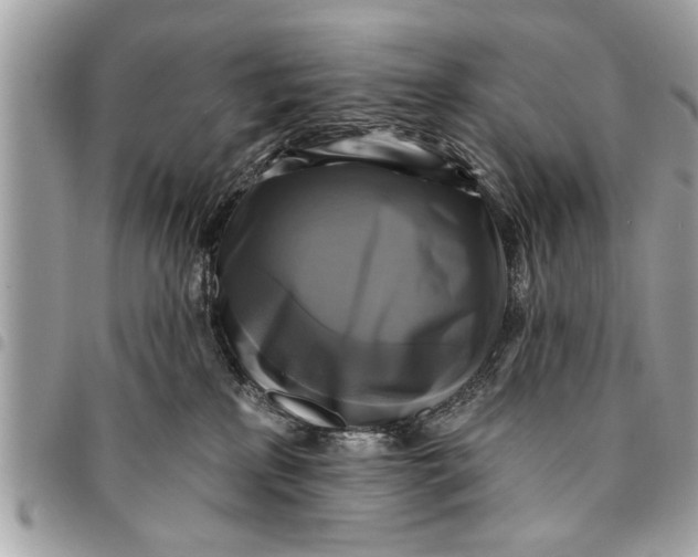 X0000094420233200711291557