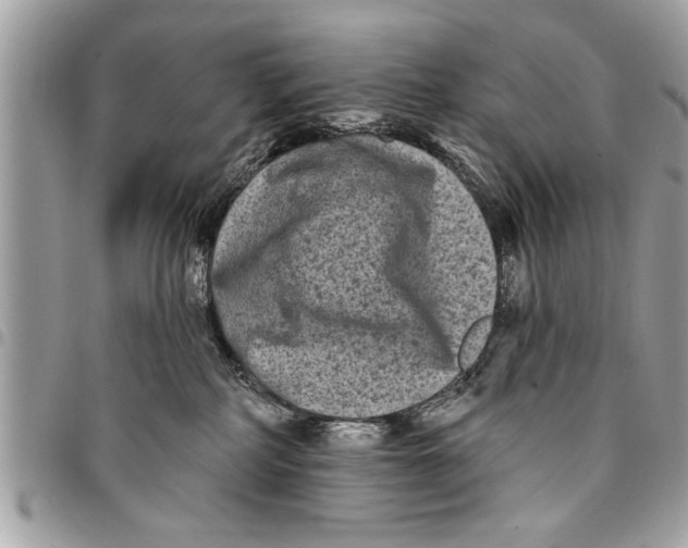 X0000094420234200711291557