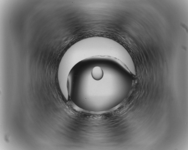 X0000094420235200711291557