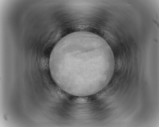 X0000094420236200711291557