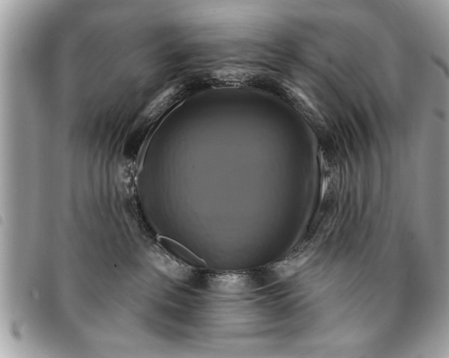 X0000094420237200711291557