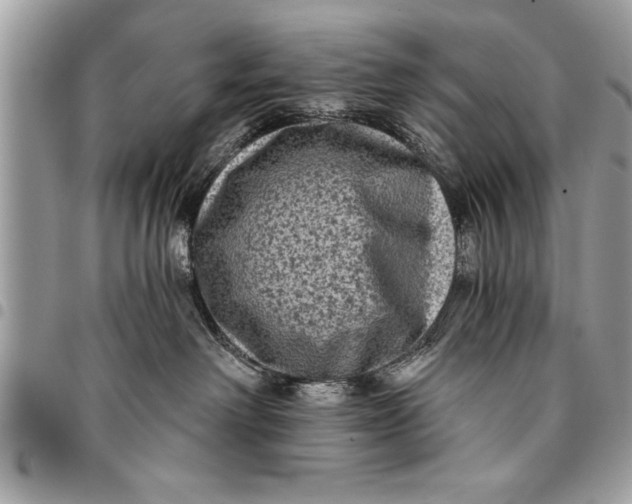 X0000094420238200711291557