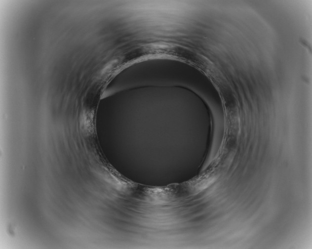 X0000094420239200711291557