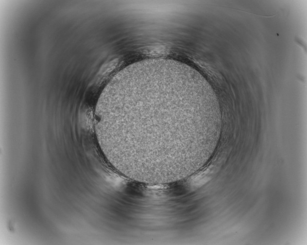 X0000094420240200711291557