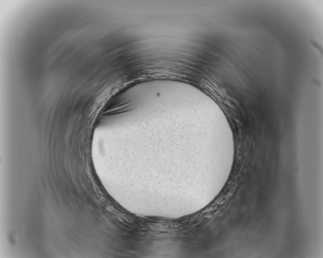 X0000094420241200711291556