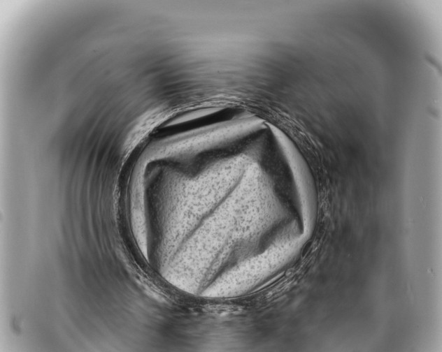 X0000094420242200711291556