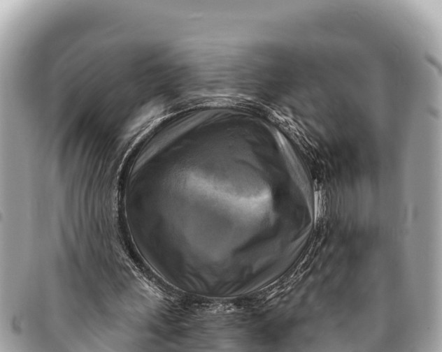 X0000094420243200711291556