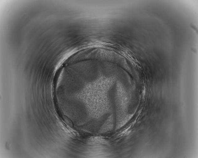 X0000094420244200711291556